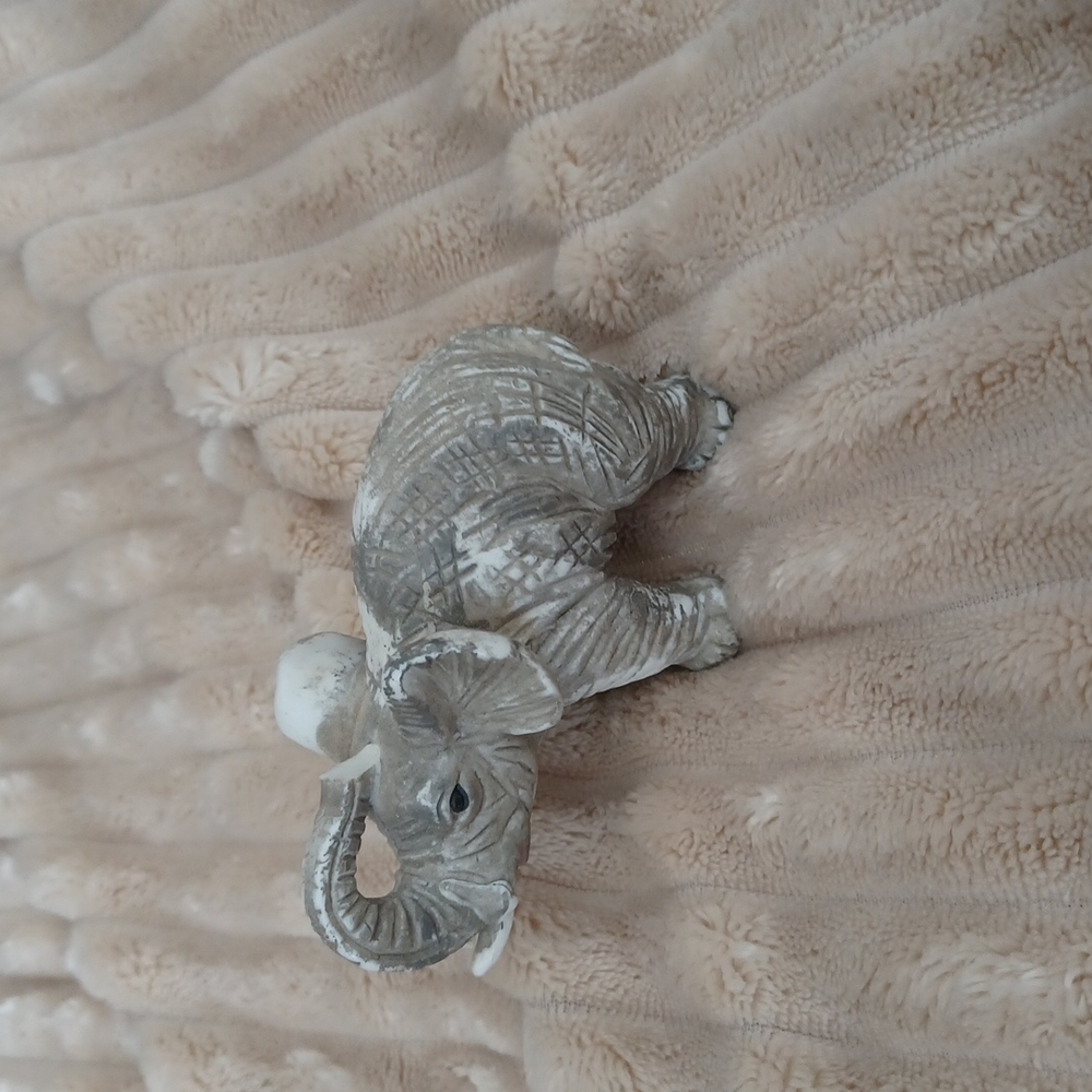 Small elephant